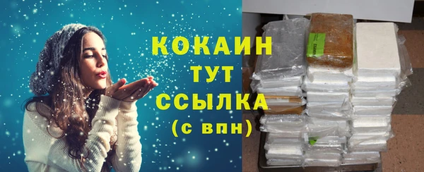 прущие грибы Беломорск