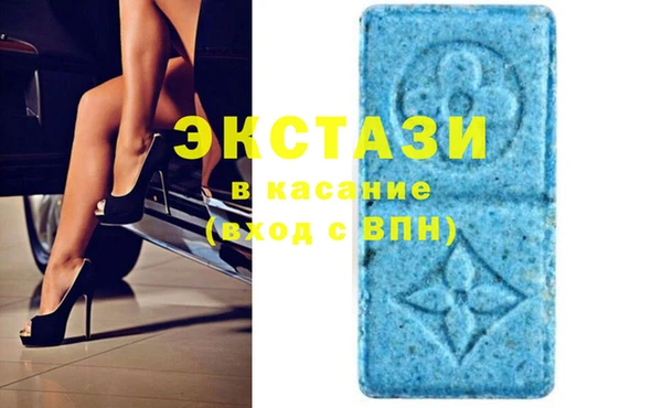 прущие грибы Беломорск