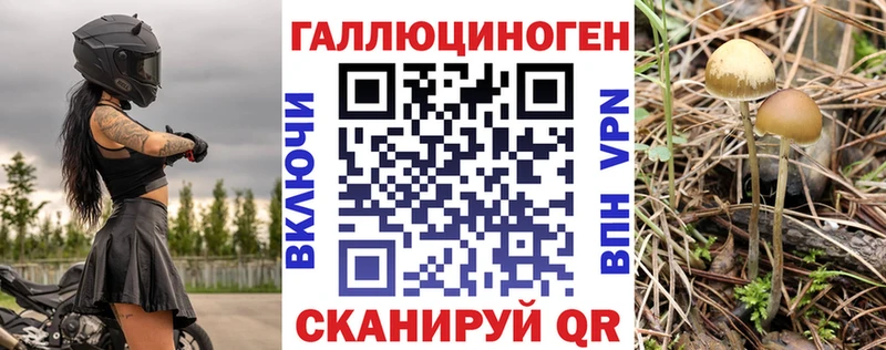 площадка наркотические препараты  ОМГ ОМГ ТОР  Псилоцибиновые грибы Magic Shrooms  Болохово  наркотики 